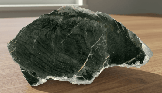 Kolonie deskatého korálu - Supreme Panthers