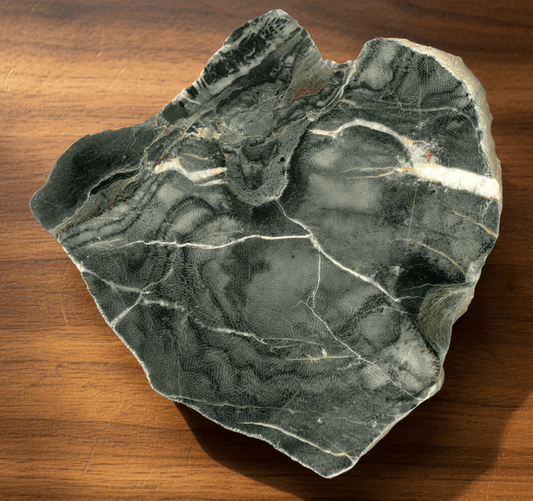 Kolonie deskatého korálu - Supreme Panthers