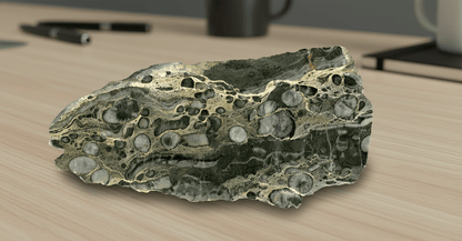 Koráli drsnaté - Supreme Panthers