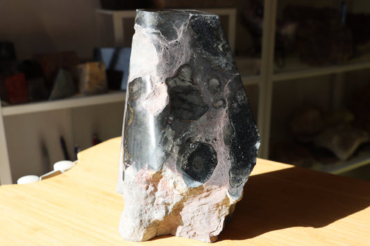 Korály drsnaté deskaté Favosites MONUMENT - Supreme Panthers