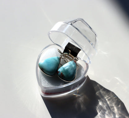 Krabička plastová valentýnské srdce - Supreme Panthers