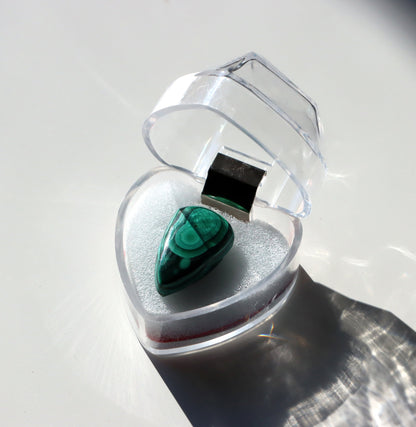 Krabička plastová valentýnské srdce - Supreme Panthers