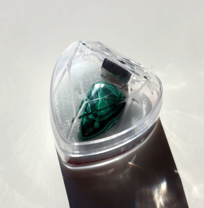 Krabička plastová valentýnské srdce - Supreme Panthers