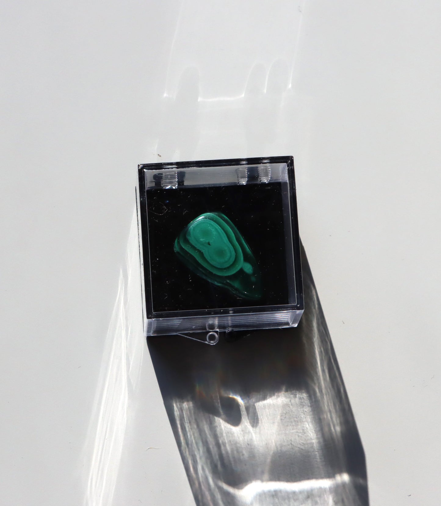 Krabička plastová velká s černým dnem - Supreme Panthers