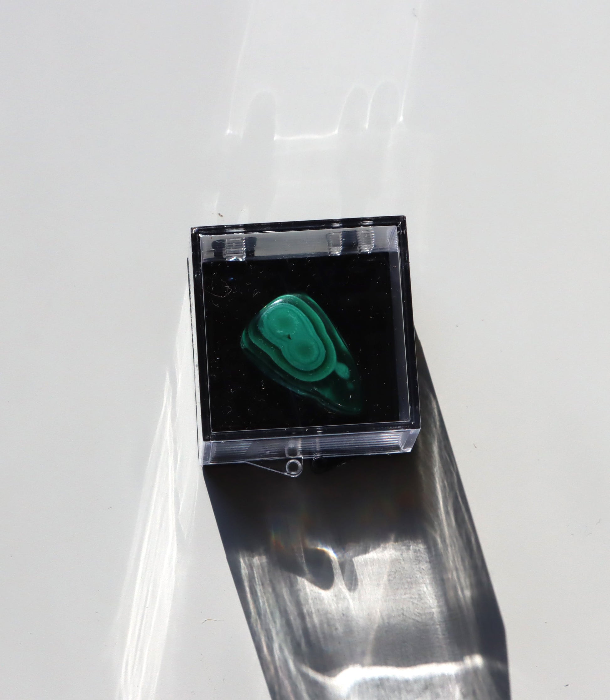 Krabička plastová velká s černým dnem - Supreme Panthers