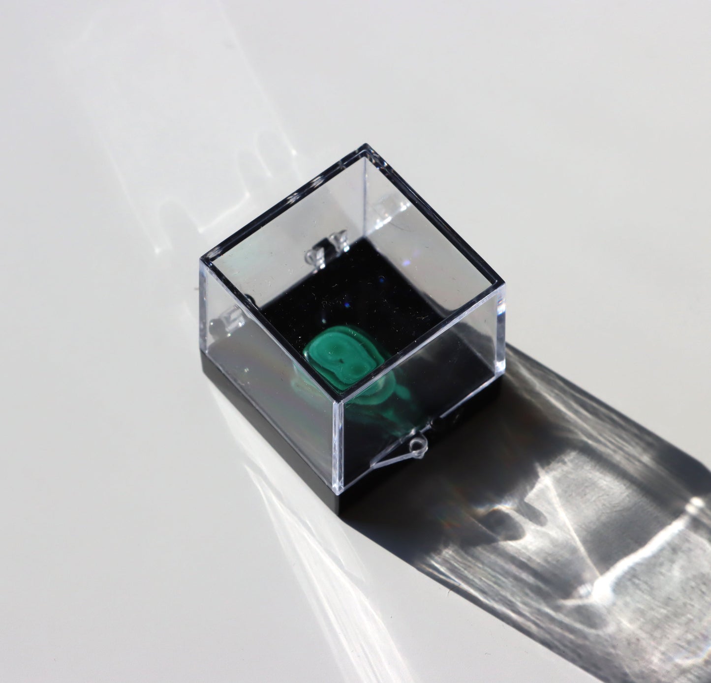 Krabička plastová velká s černým dnem - Supreme Panthers