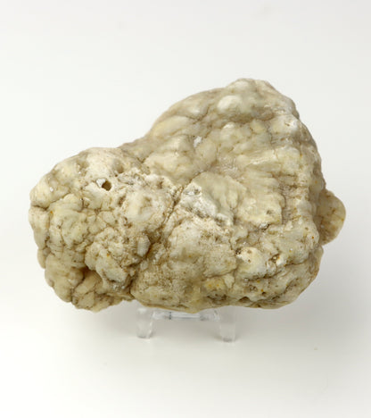 Křišťál perimorfóza po kalcitu v geodě leštěná - Supreme Panthers