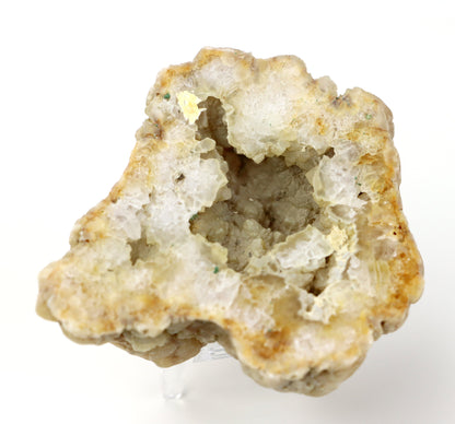 Křišťál perimorfóza po kalcitu v geodě leštěná - Supreme Panthers