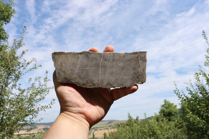 Kvarcitová vložka ze svojanovitu - Supreme Panthers