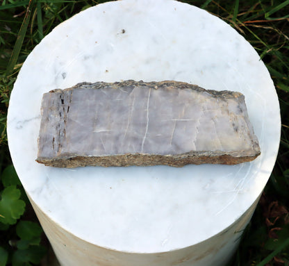 Kvarcitová vložka ze svojanovitu - Supreme Panthers