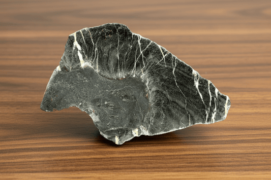 Lažánecký vápenec s deskatým korálem rodu Alveolites, Moravský kras - Supreme Panthers