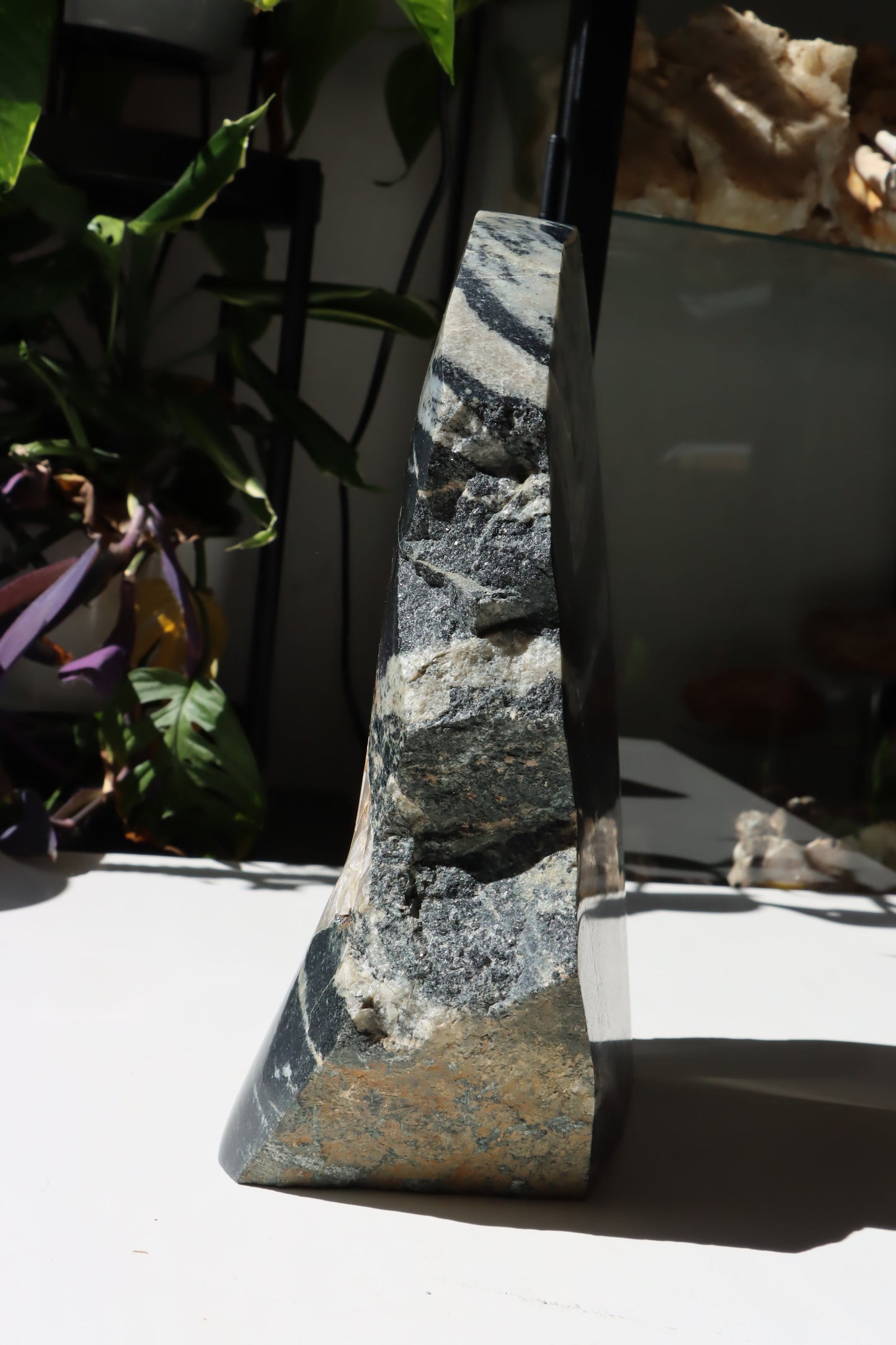 Leštěný kámen - Supreme Panthers