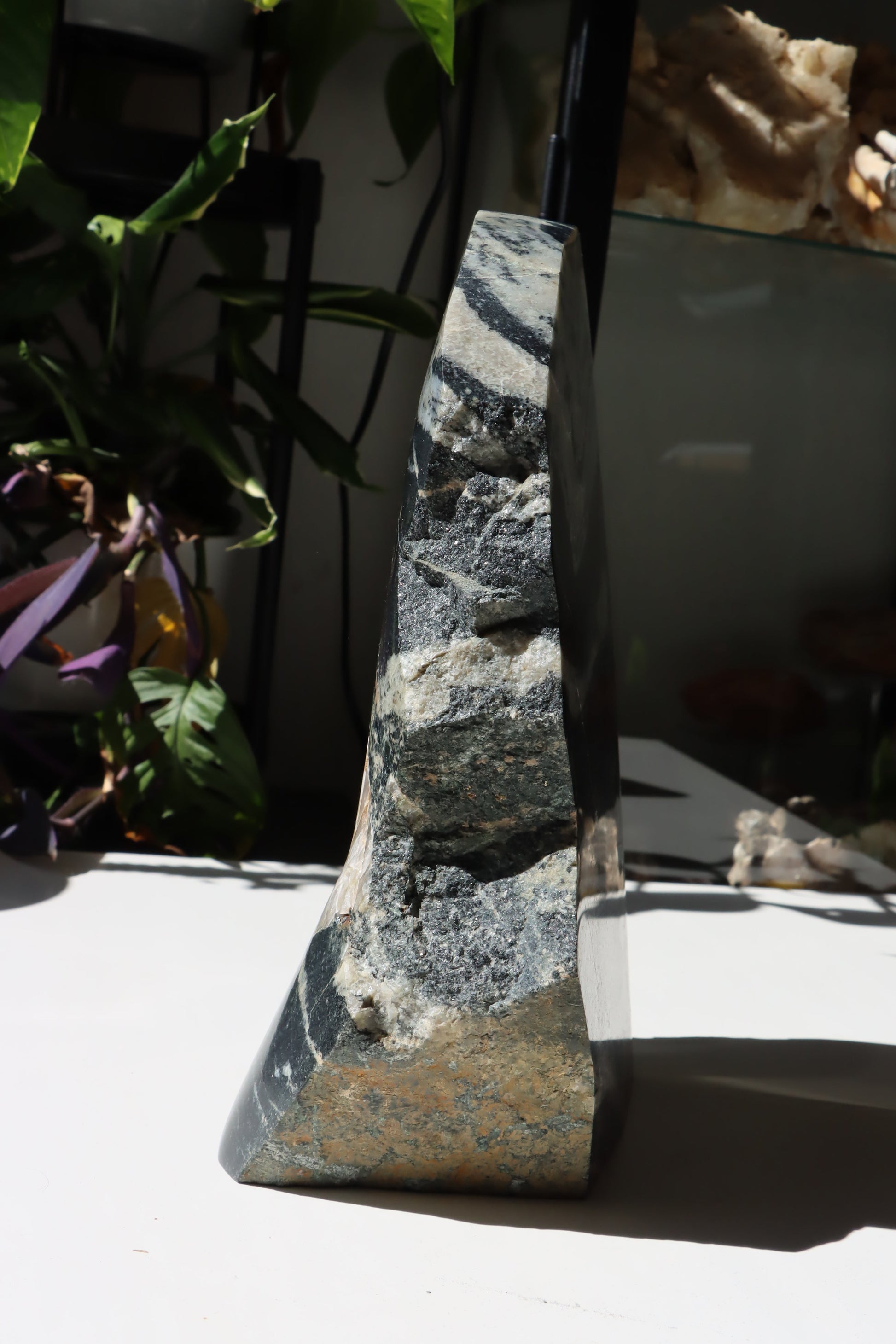 Leštěný kámen - Supreme Panthers