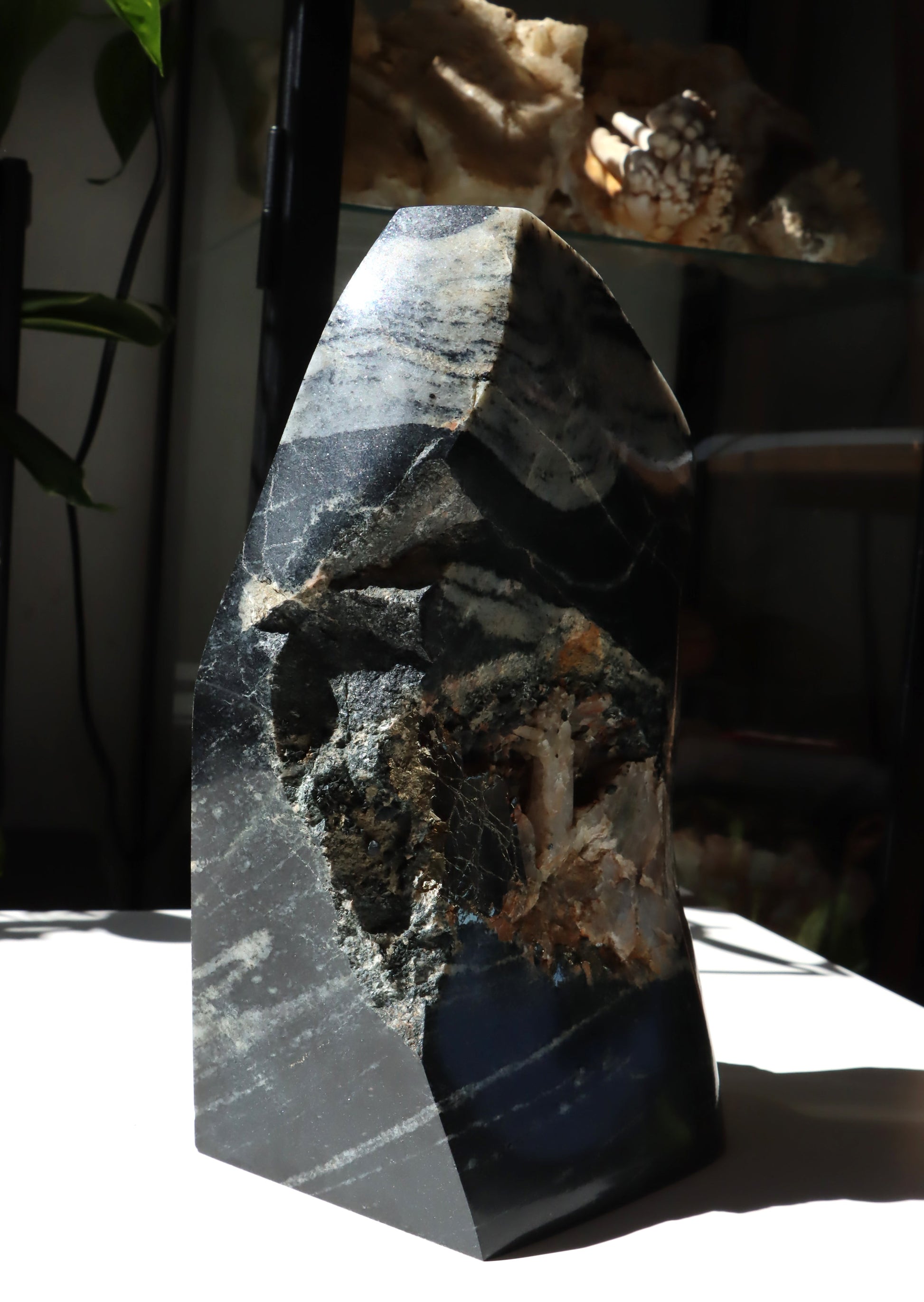 Leštěný kámen - Supreme Panthers