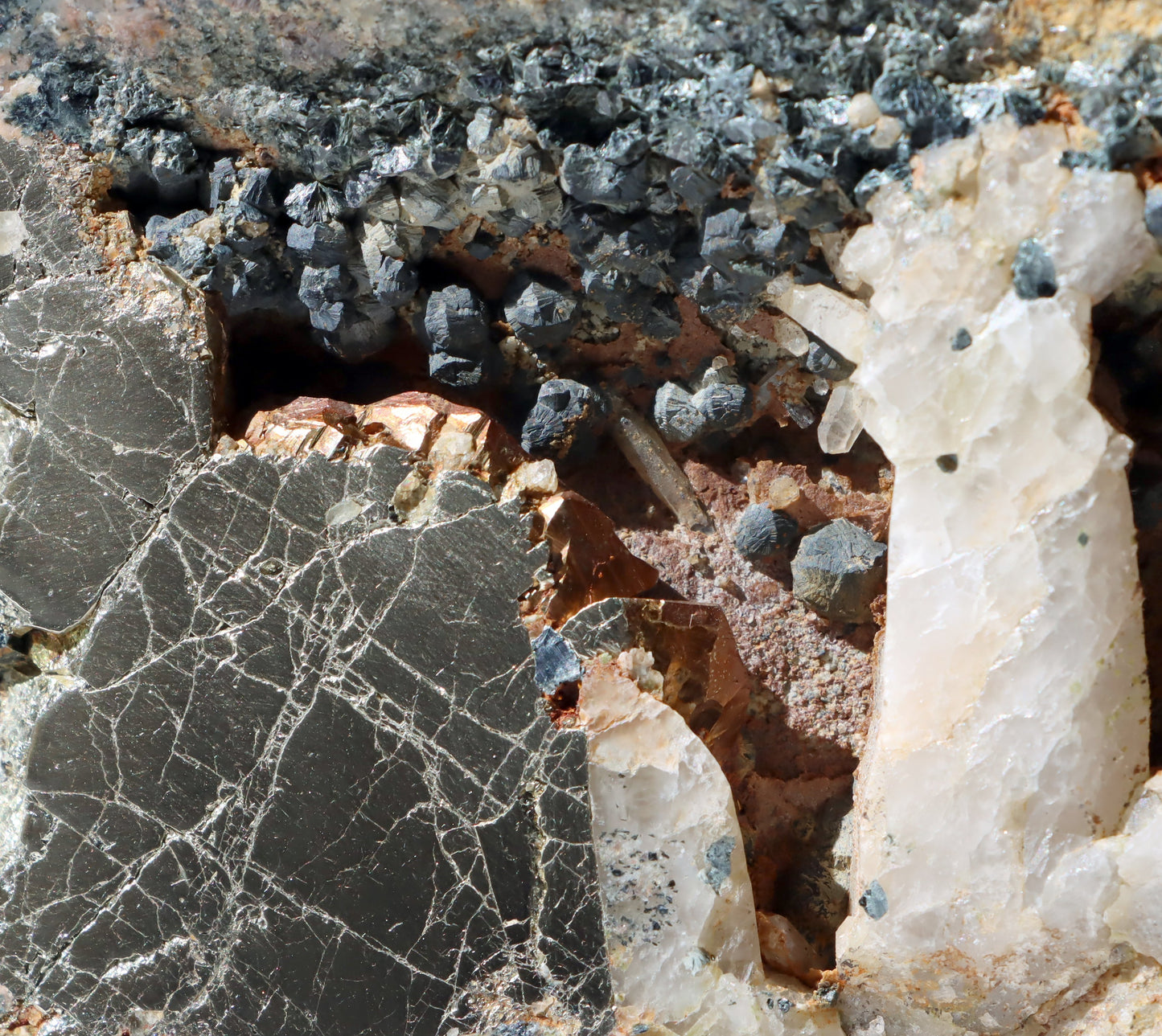 Leštěný kámen - Supreme Panthers