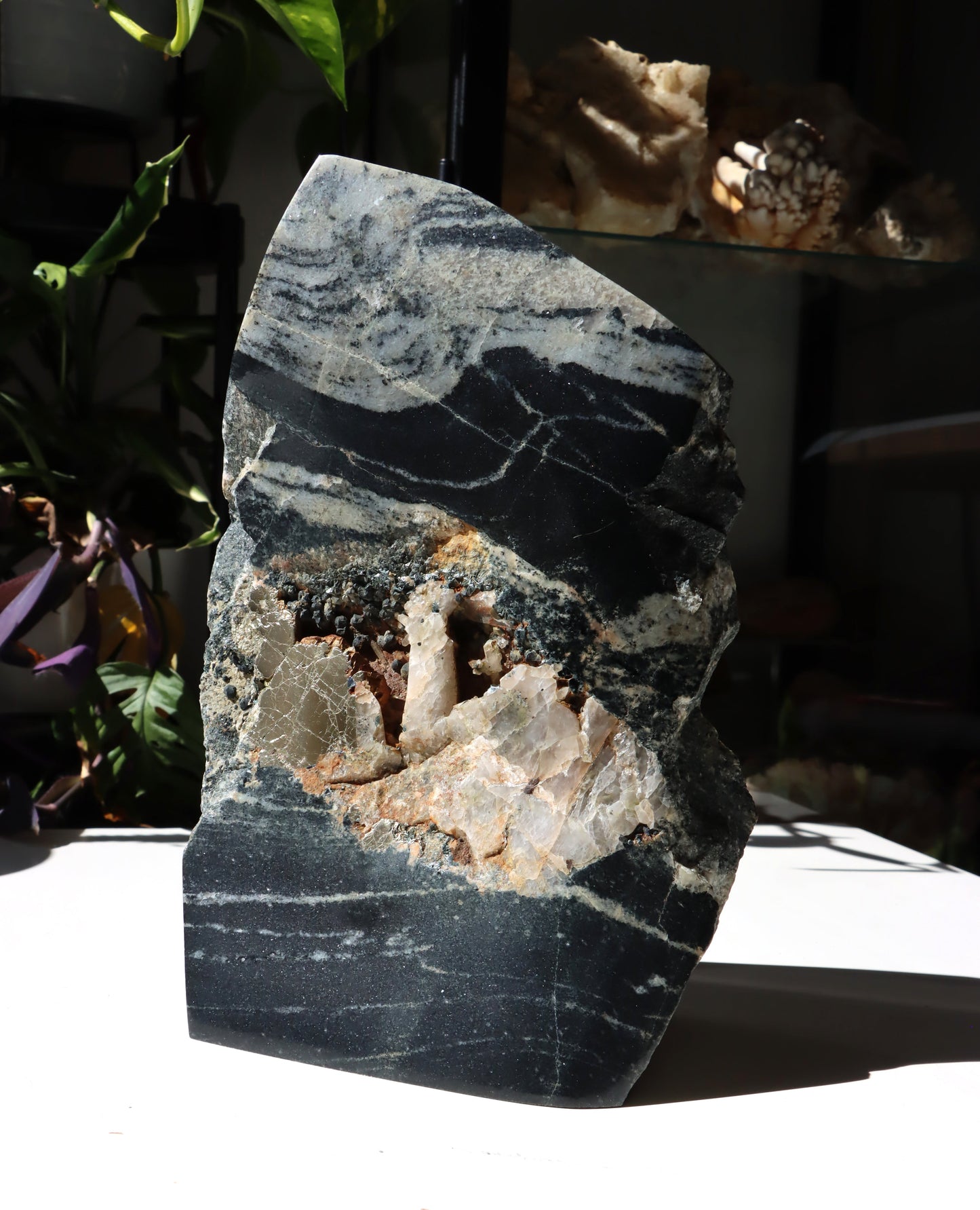 Leštěný kámen - Supreme Panthers