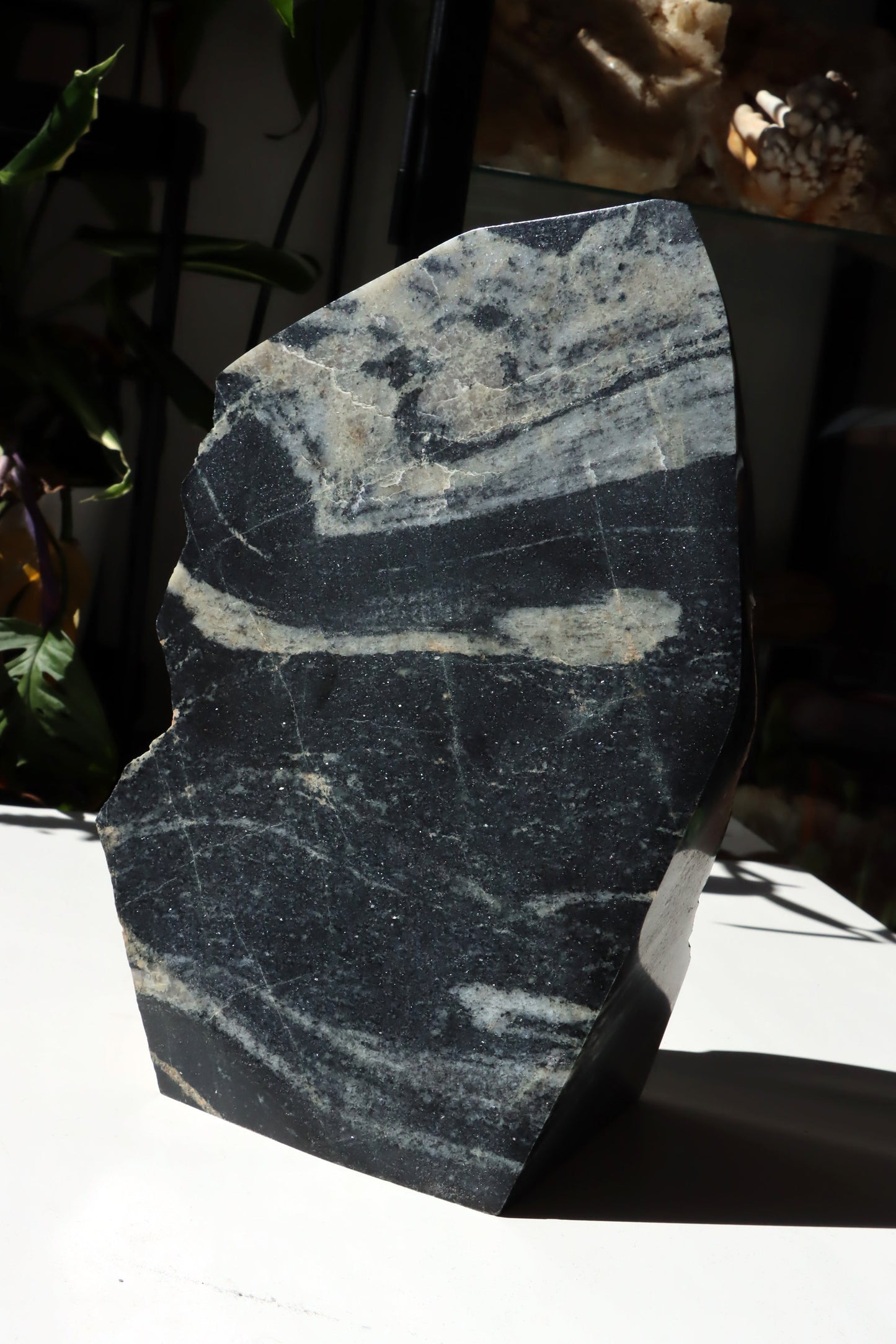 Leštěný kámen - Supreme Panthers