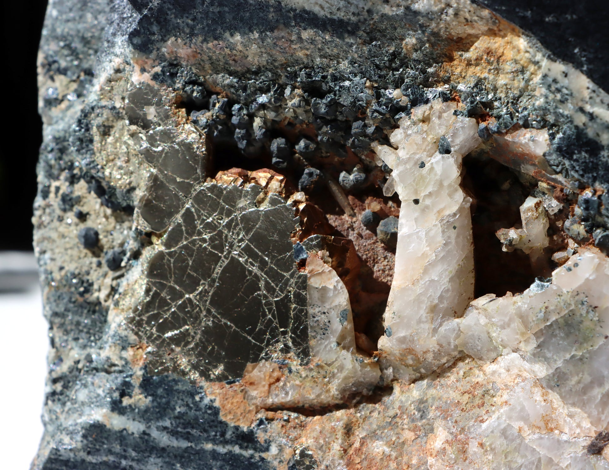 Leštěný kámen - Supreme Panthers