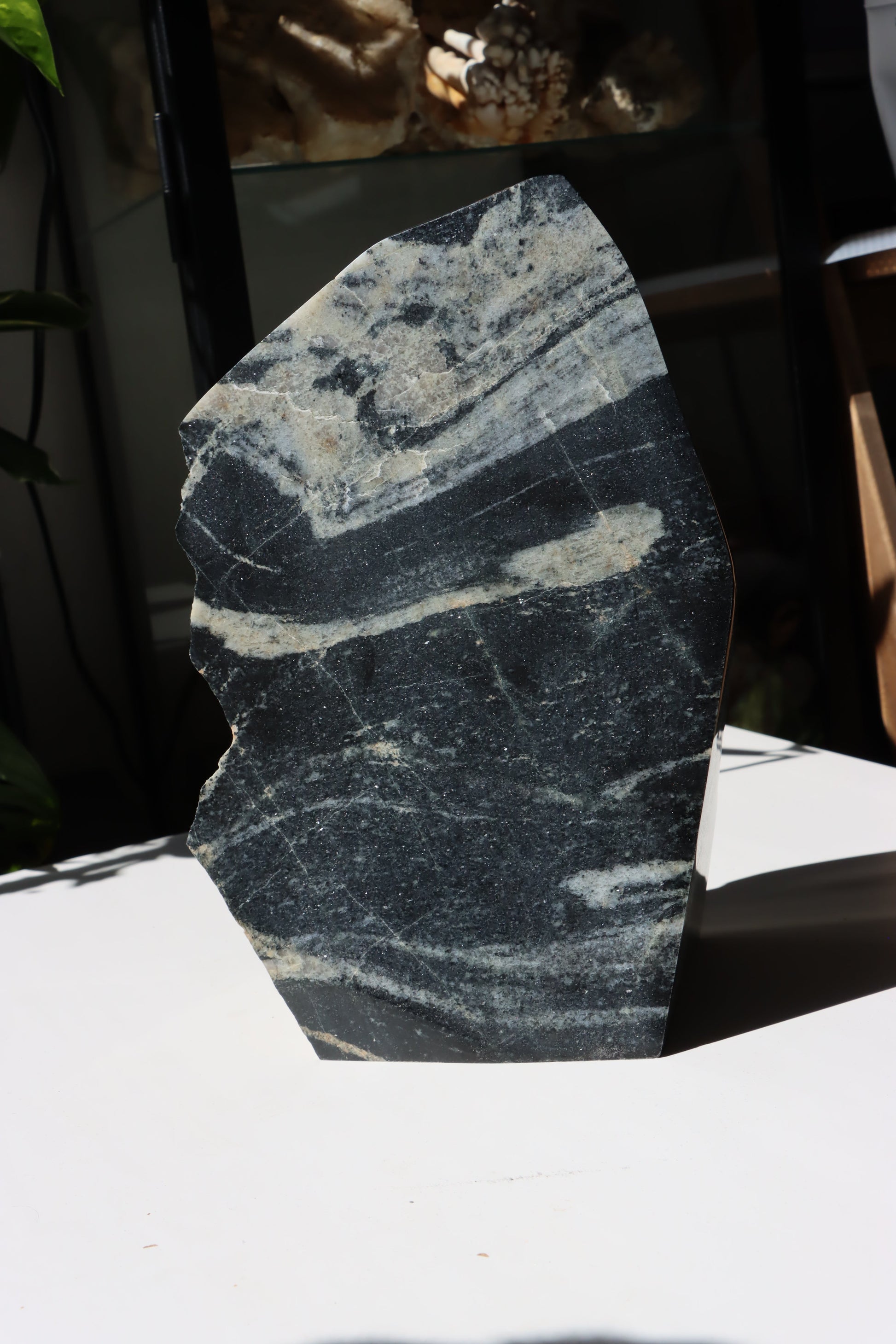 Leštěný kámen - Supreme Panthers