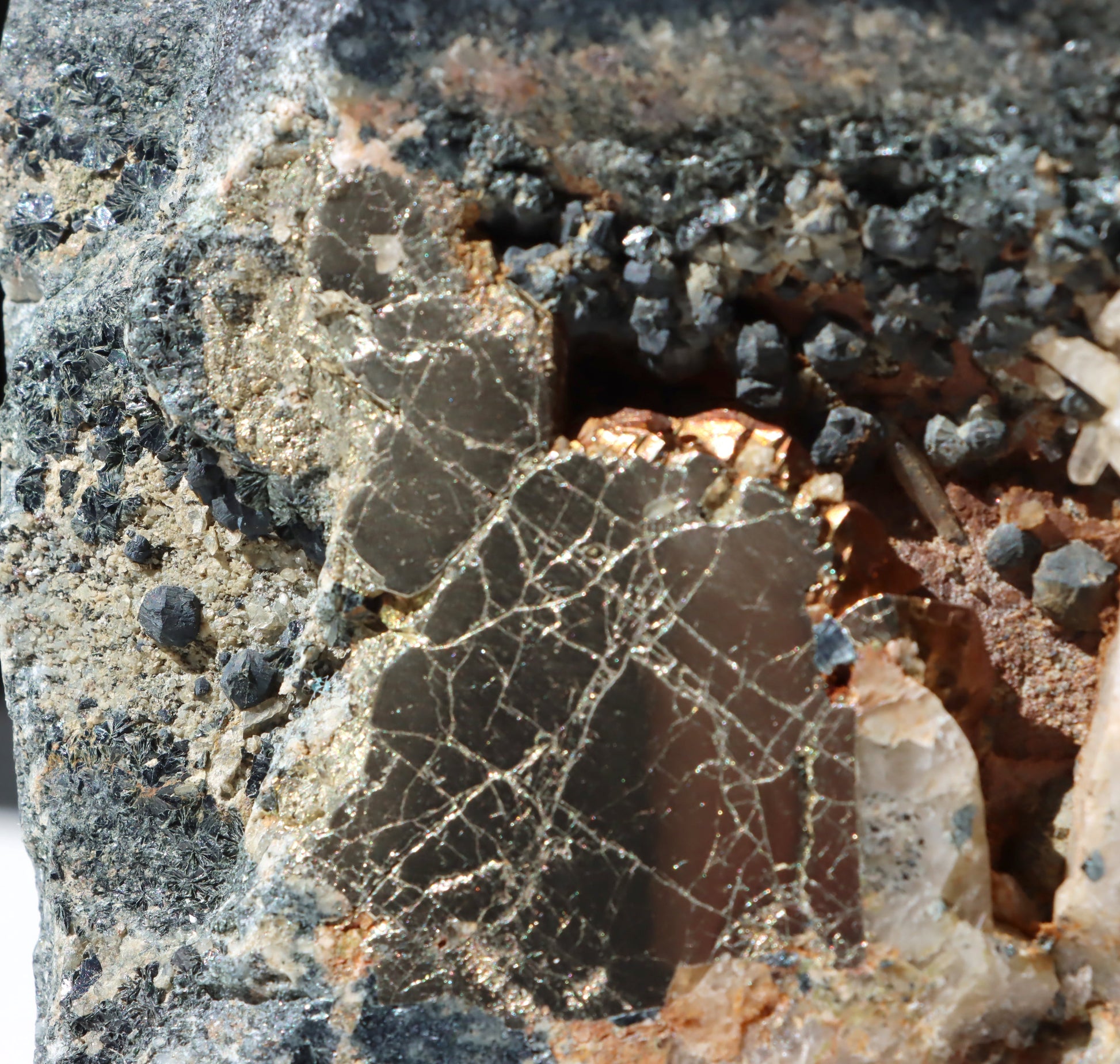 Leštěný kámen - Supreme Panthers