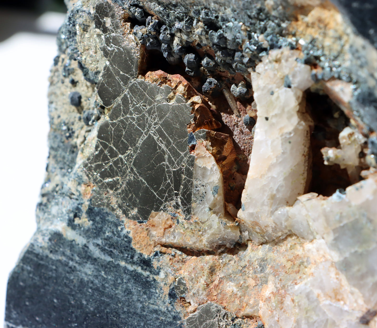 Leštěný kámen - Supreme Panthers