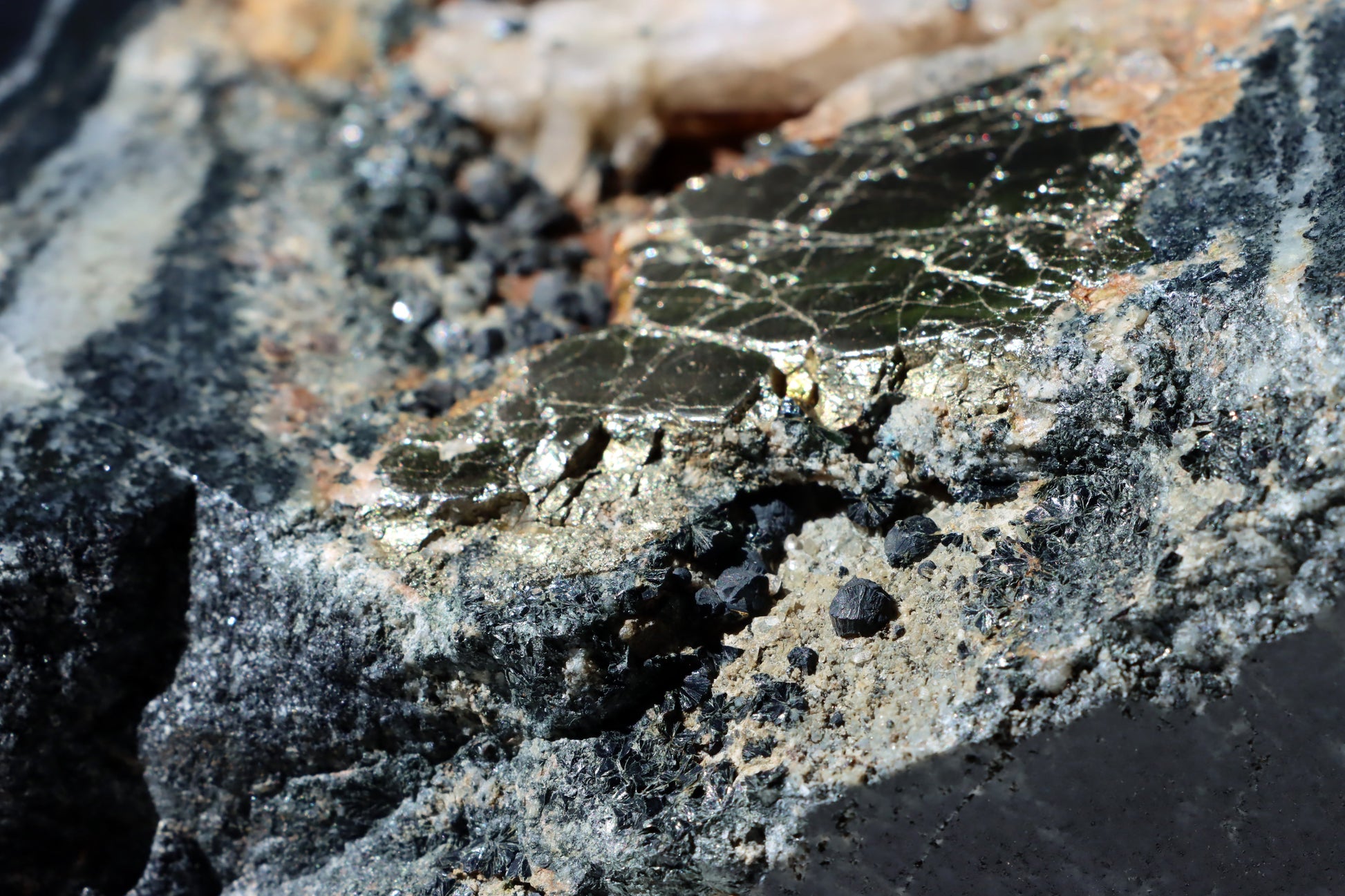 Leštěný kámen - Supreme Panthers