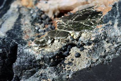 Leštěný kámen - Supreme Panthers