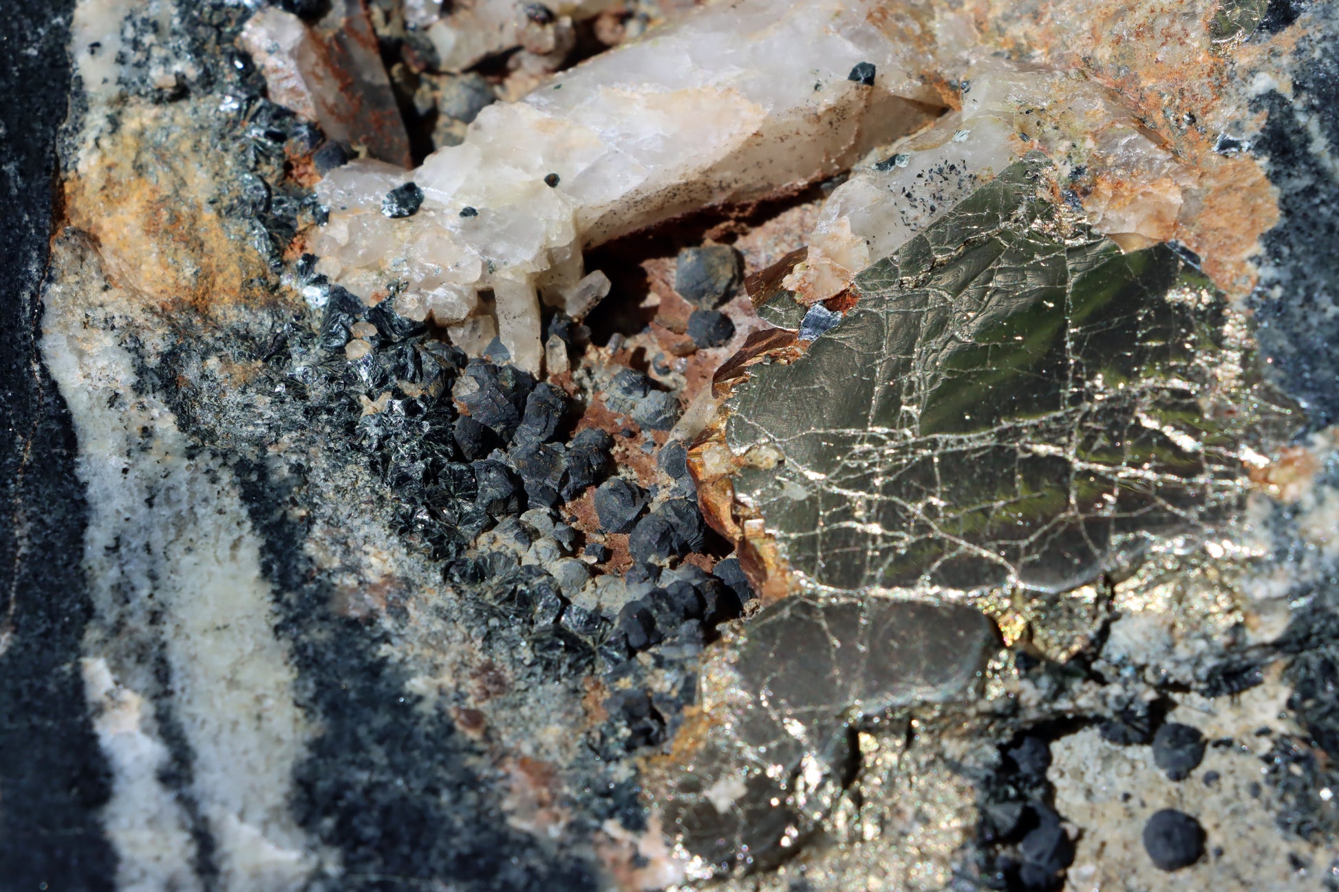 Leštěný kámen - Supreme Panthers