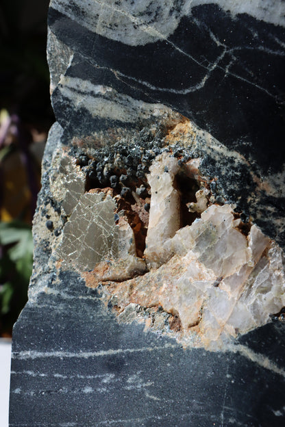 Leštěný kámen - Supreme Panthers