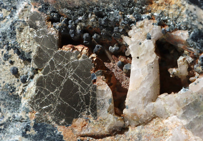 Leštěný kámen - Supreme Panthers