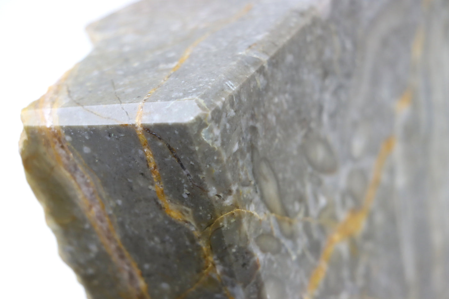 Lilijicová louka ve vilémovickém vápenci - Supreme Panthers