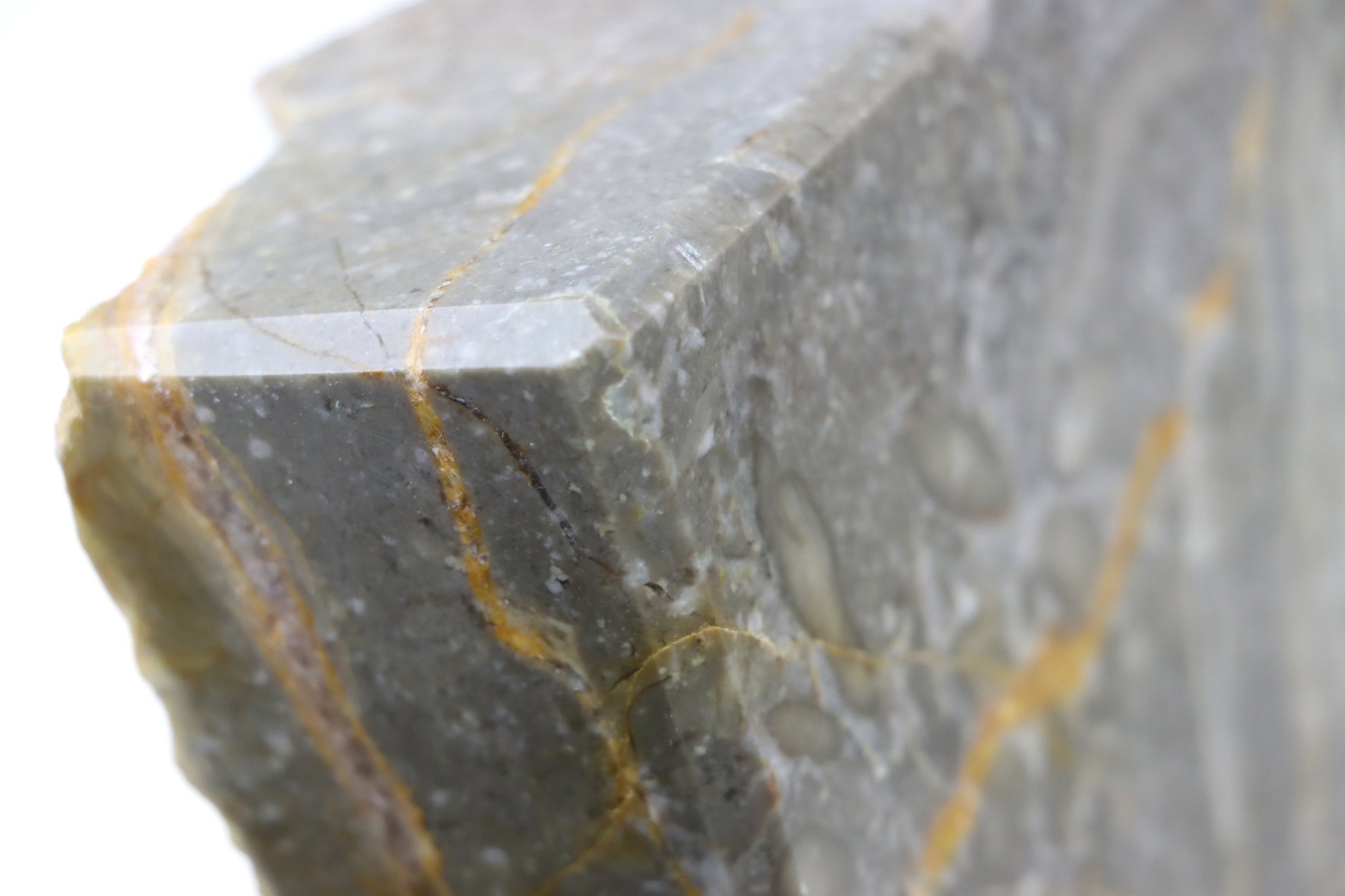 Lilijicová louka ve vilémovickém vápenci - Supreme Panthers