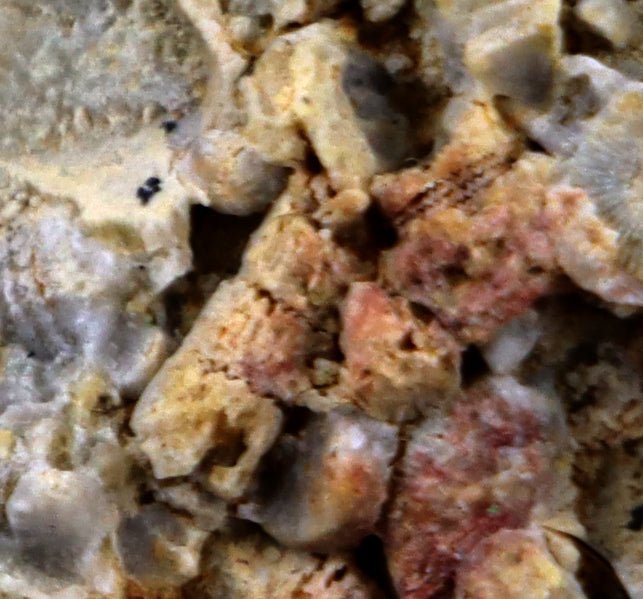 Lilijicová louka ve vilémovickém vápenci - Supreme Panthers