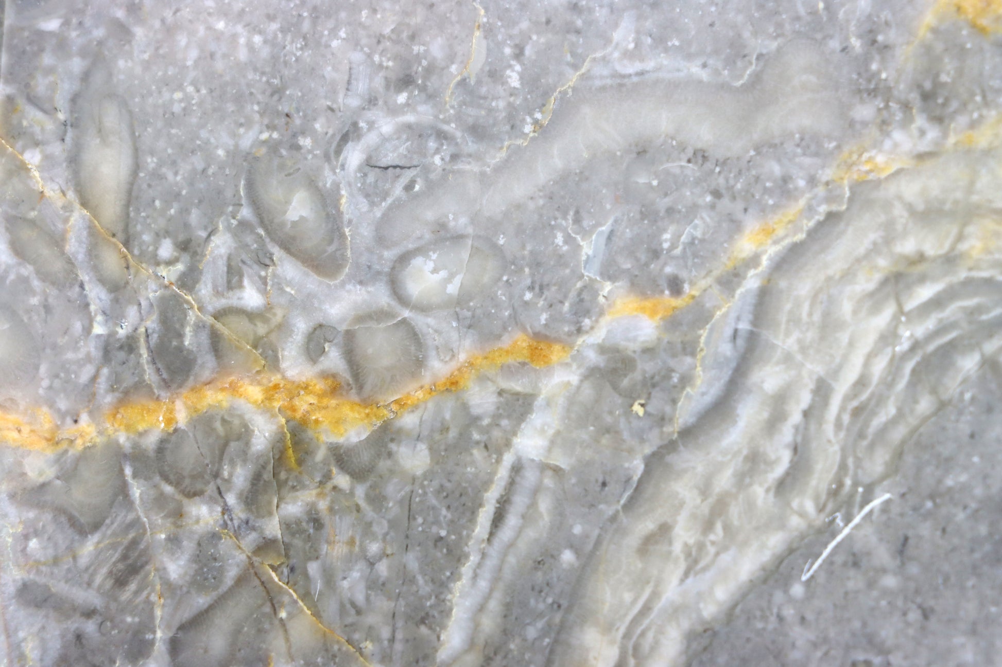 Lilijicová louka ve vilémovickém vápenci - Supreme Panthers