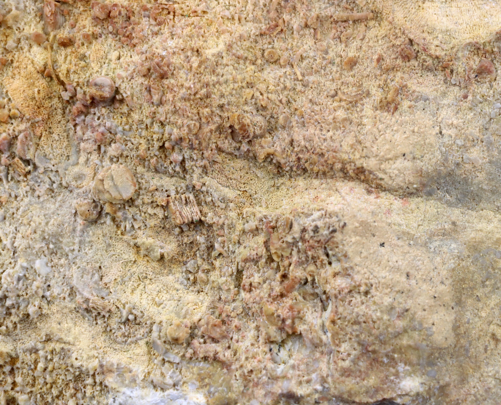 Lilijicová louka ve vilémovickém vápenci - Supreme Panthers