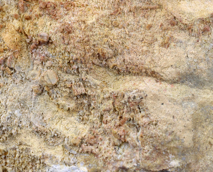 Lilijicová louka ve vilémovickém vápenci - Supreme Panthers