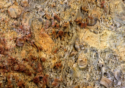 Lilijicová louka ve vilémovickém vápenci - Supreme Panthers