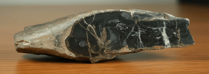 Luxusní drsnatý korál porostlý stromatoporou se zarostlými zachovalými stonky lilijic ve stínavsko - chabičovské břidlici - Supreme Panthers