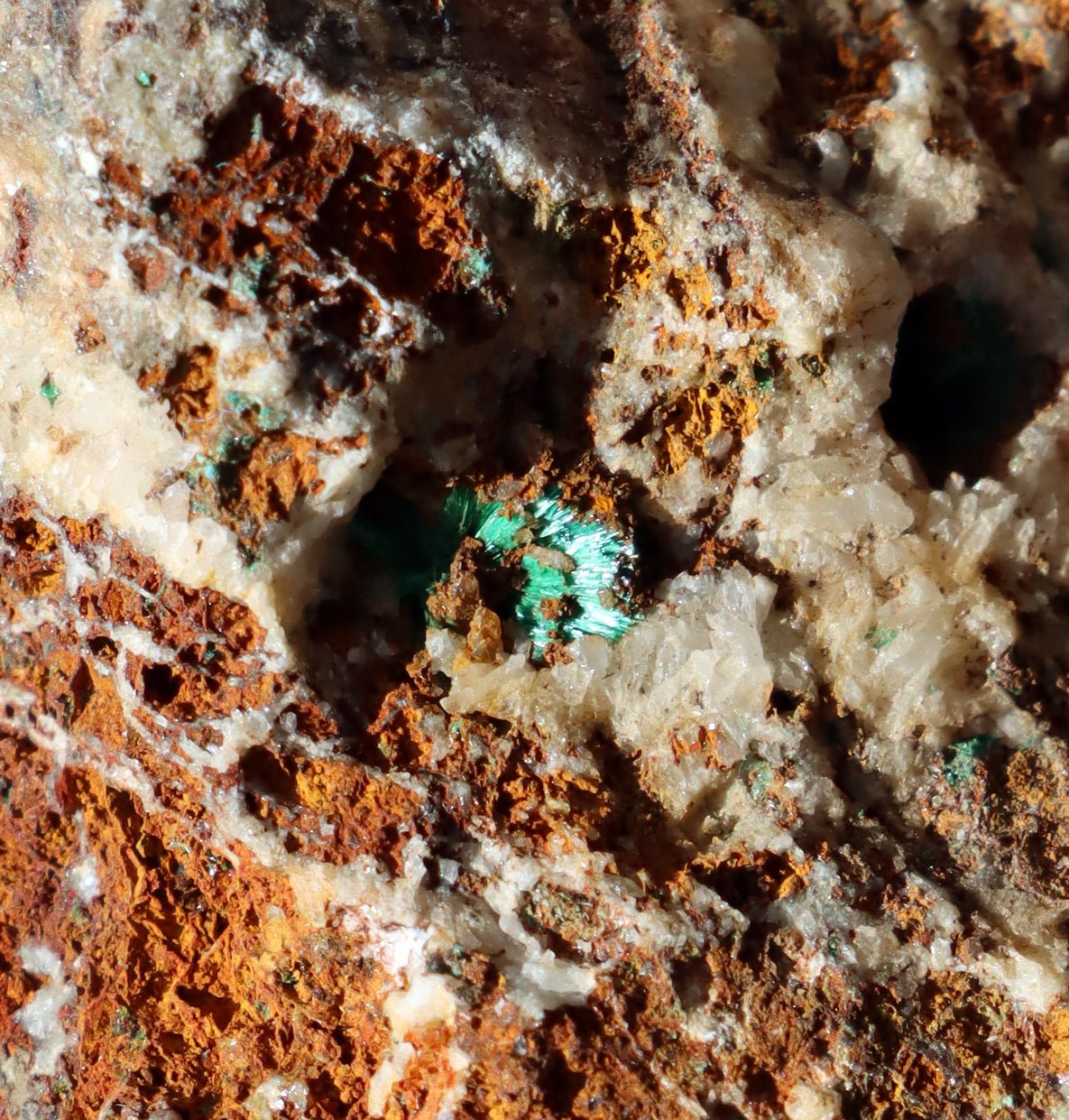 Malachit v křemenné žíle - Supreme Panthers