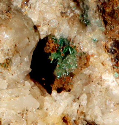 Malachit v křemenné žíle - Supreme Panthers