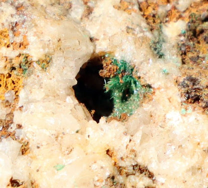 Malachit v křemenné žíle - Supreme Panthers