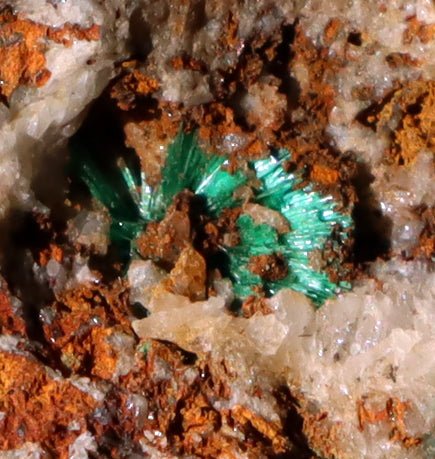 Malachit v křemenné žíle - Supreme Panthers