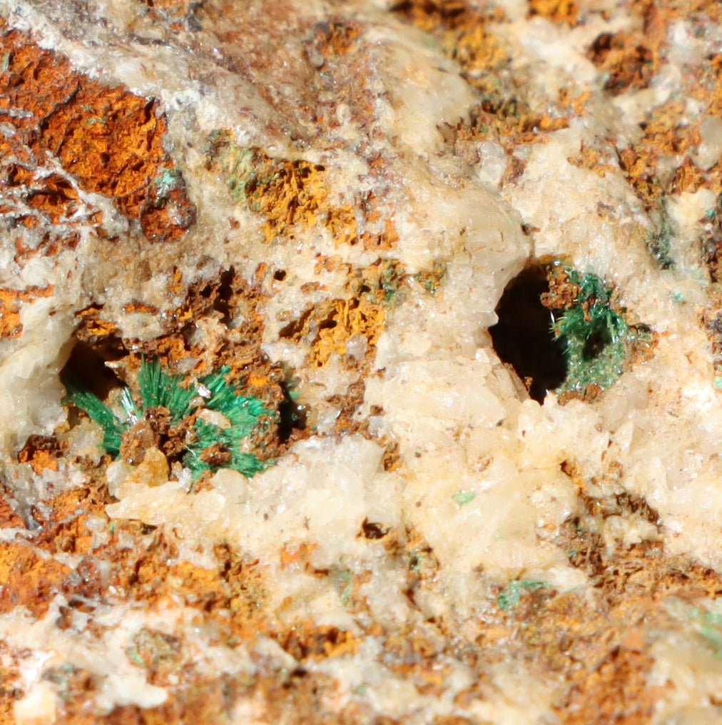 Malachit v křemenné žíle - Supreme Panthers