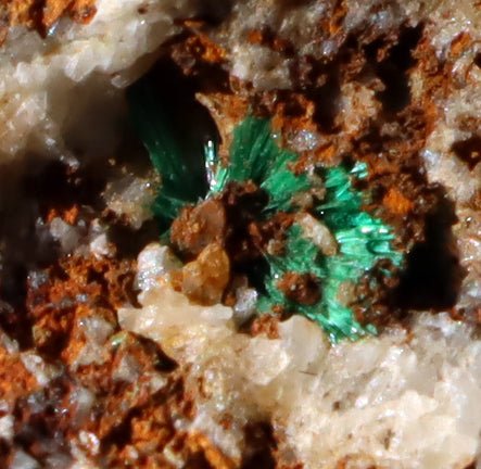 Malachit v křemenné žíle - Supreme Panthers