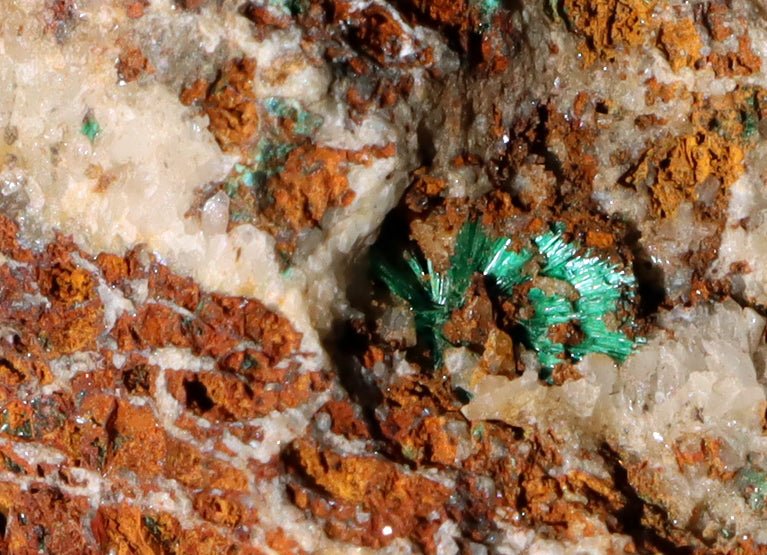 Malachit v křemenné žíle - Supreme Panthers