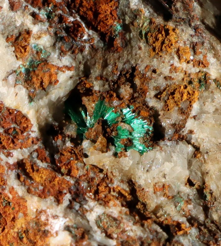 Malachit v křemenné žíle - Supreme Panthers