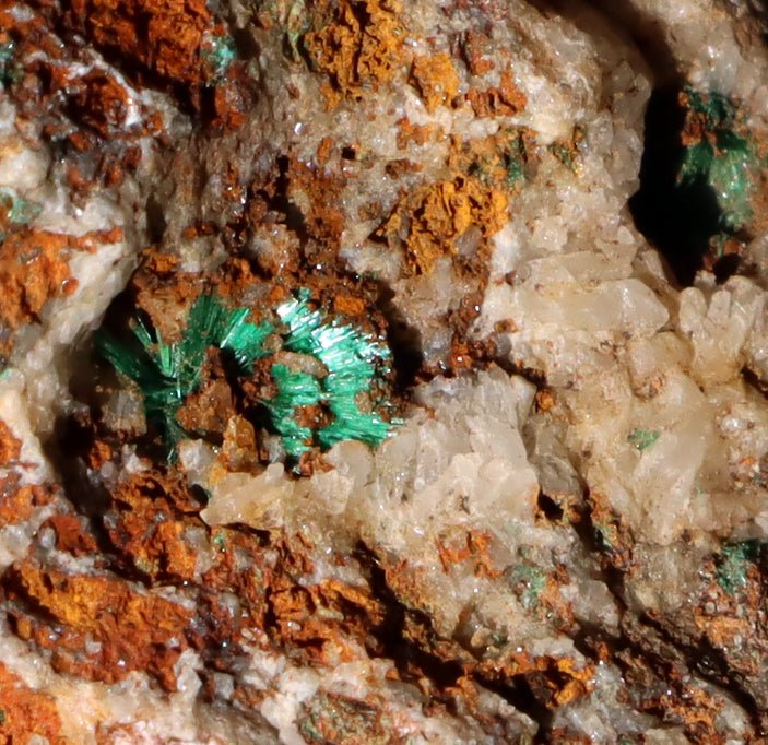 Malachit v křemenné žíle - Supreme Panthers