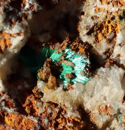 Malachit v křemenné žíle - Supreme Panthers