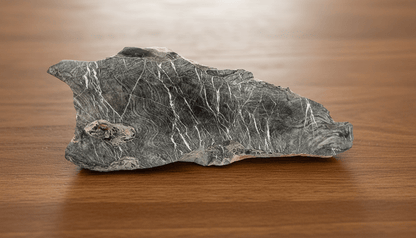 Masivní korál - Supreme Panthers