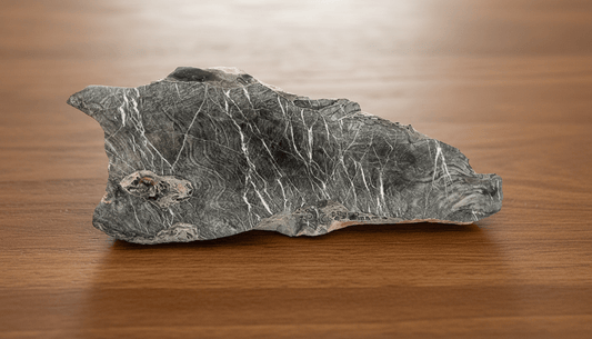 Masivní korál - Supreme Panthers